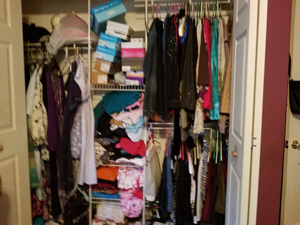 Client disorganized closet 2019